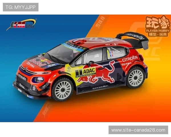 阿布扎比安全车概率历史数据统计，策略容错率分析