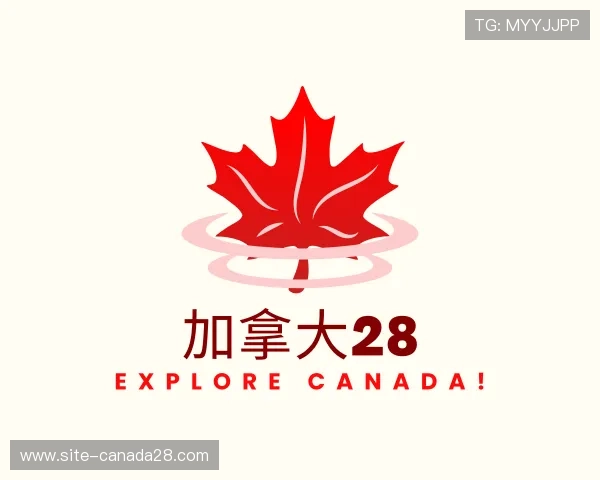 解读加拿大28团队